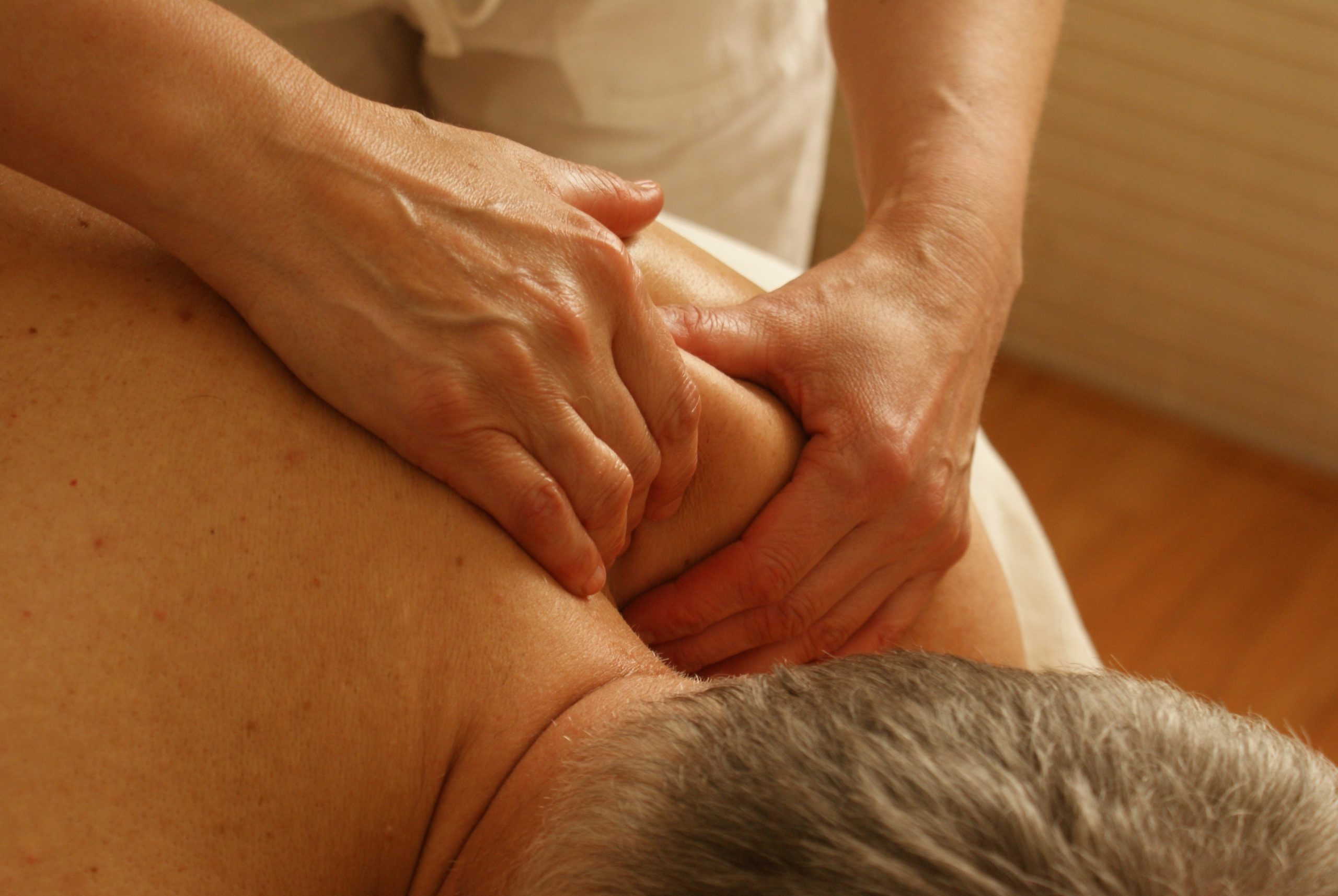 Advanced Anatomy for Therapeutic Massage Therapists Advanced Anatomy for Therapeutic Massage Therapists